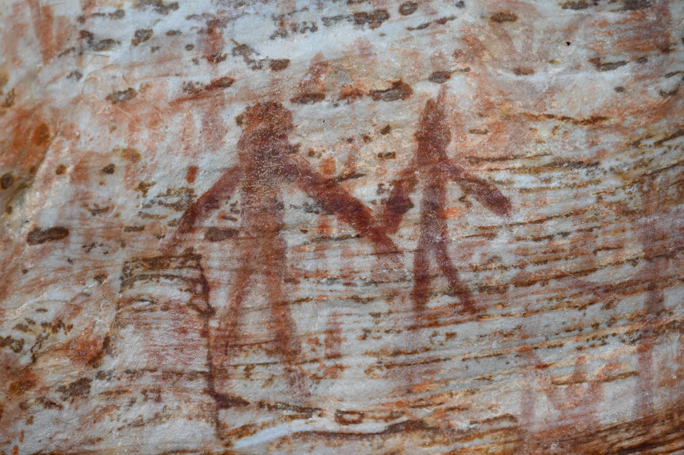 Rock art of 2 people in red ochre at Billimina Shelter, Gariwerd