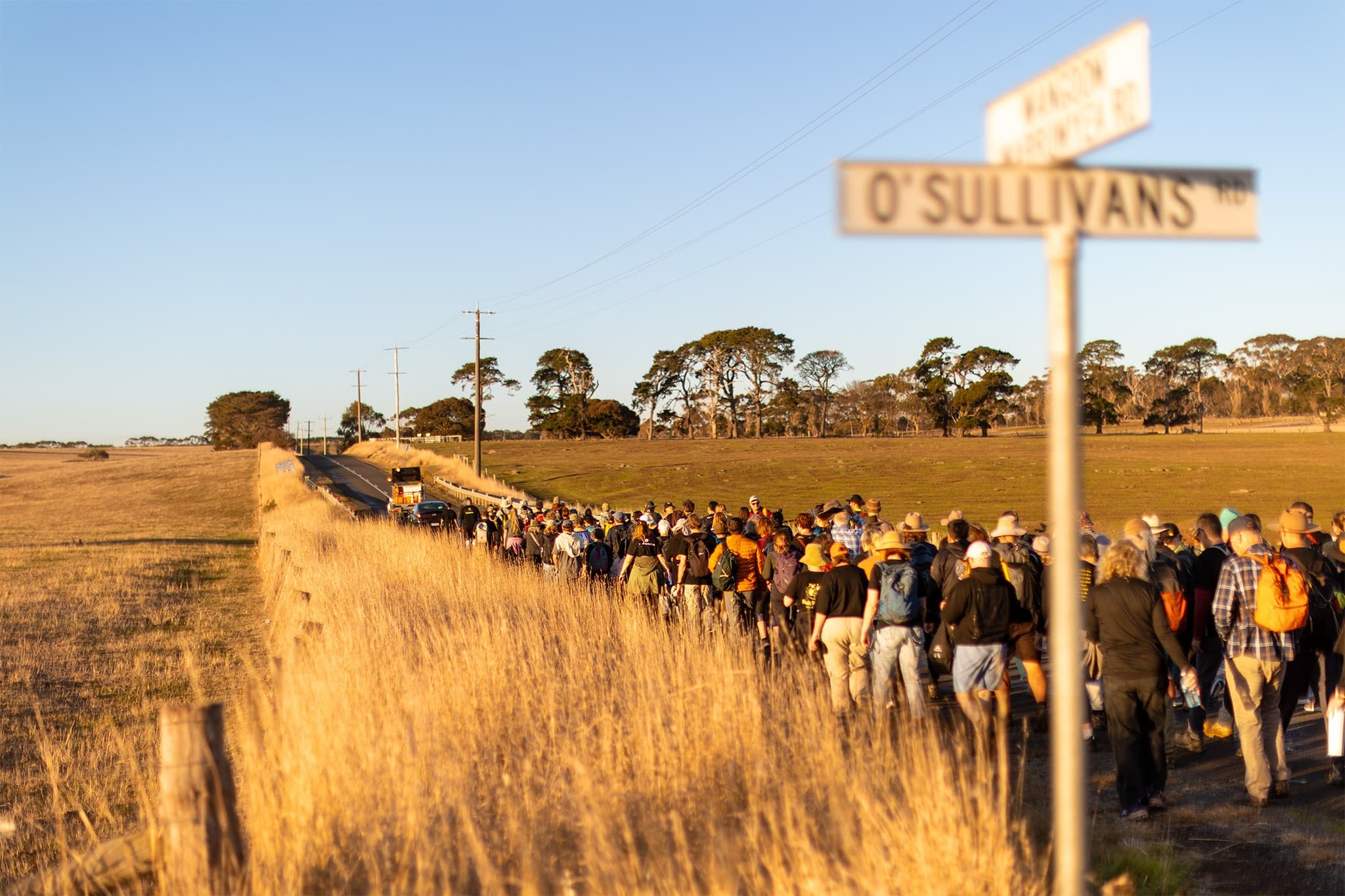 A large group of people walks down a road surrounded by paddocks on the Walk for Truth.