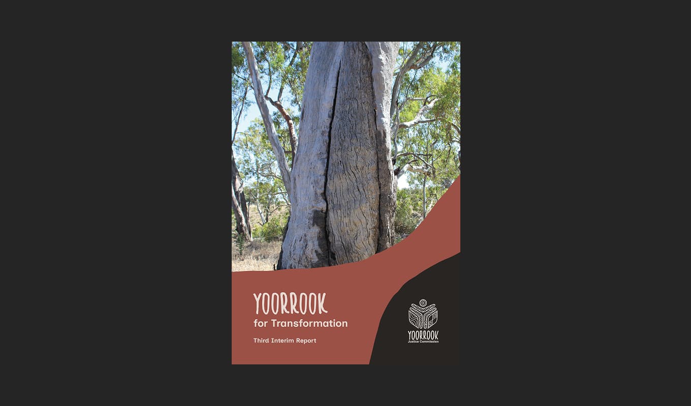 Front cover of the Yoorrook for Transformation Third Interim Report, featuring a photograph of a scar tree taken by Uncle Jim Berg.