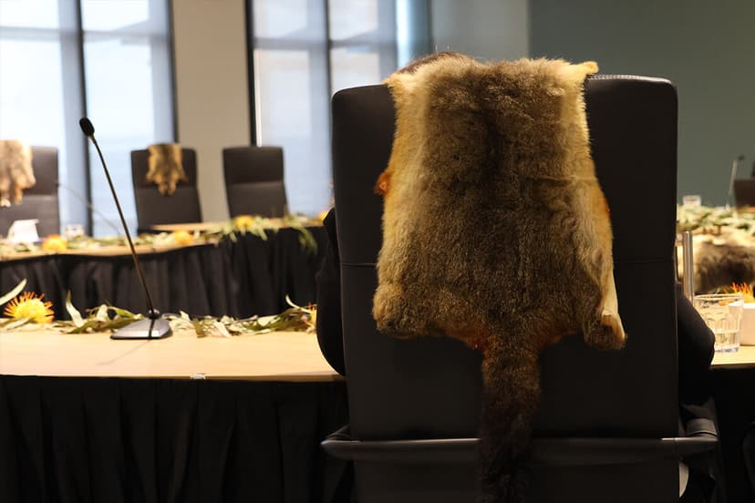 Chairs adorned in possum furs surround a circular table in the Yoorrook hearing room.